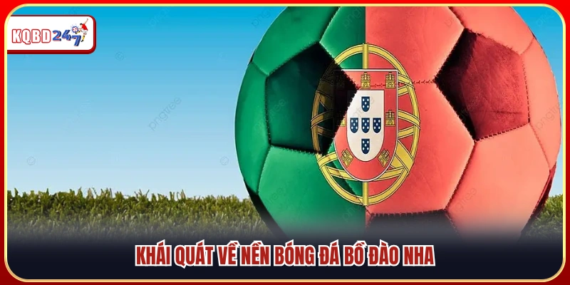 Tổng quan về bóng đá Bồ Đào Nha