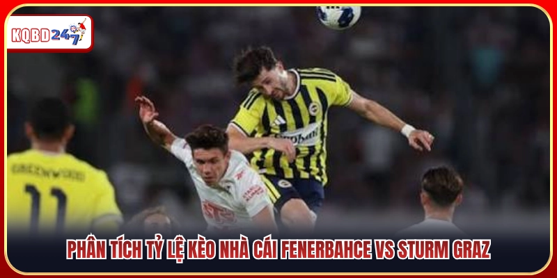 Soi tỷ lệ kèo nhà cái đưa ra cho trận Fenerbahce vs Sturm Graz